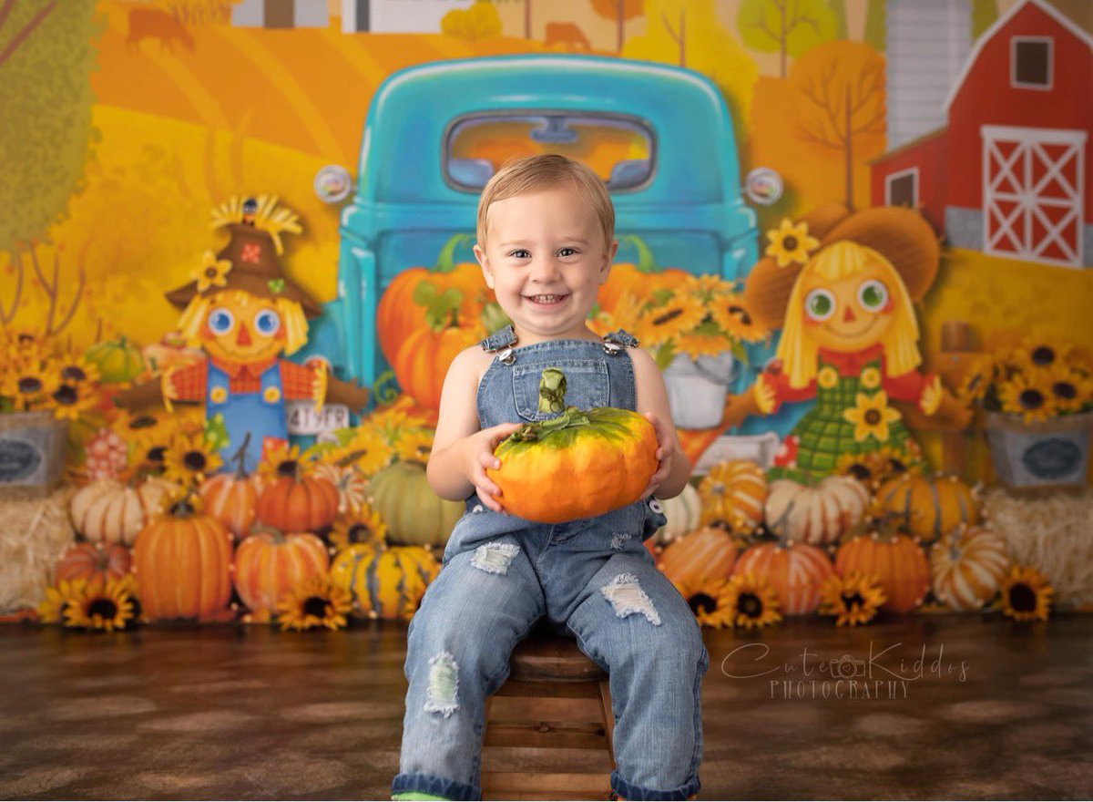 kayml_'s tweet photo. August 1st! Is it fall yet? 🤣🤪 My cute lil babee modeling a fall backdrop 🧡🍁🎃 https://t.co/J8wamPwBG8
