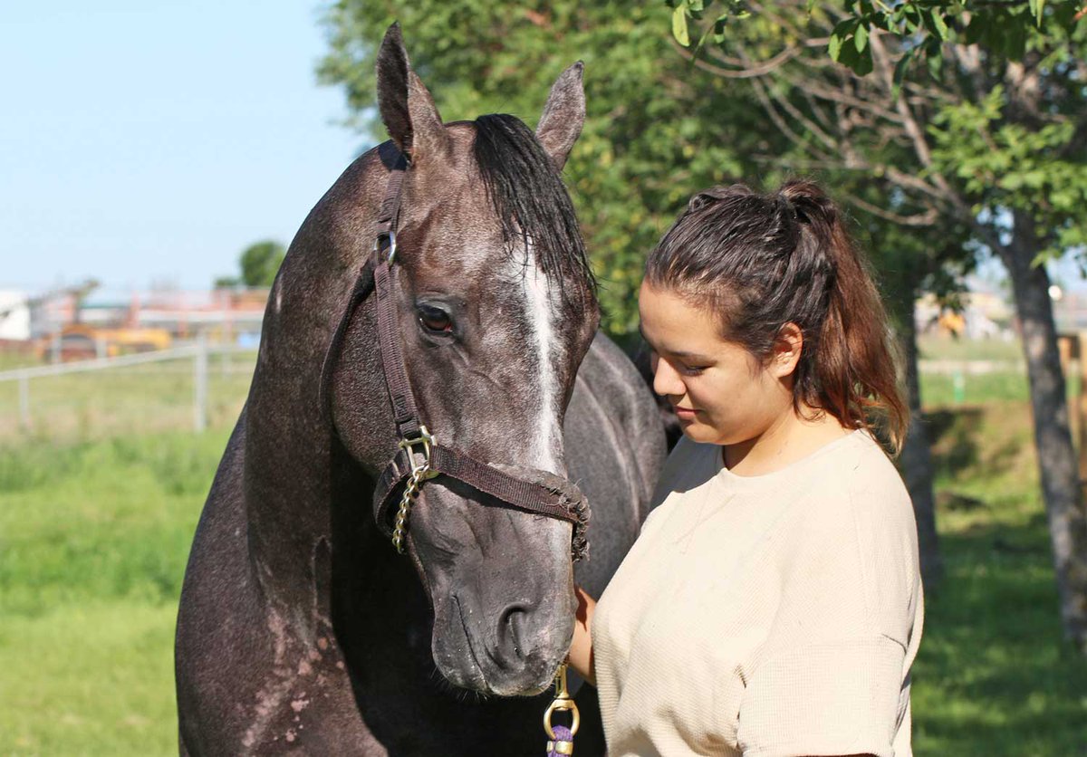AssiniboiaDowns's tweet photo. Prayforpeace a deserving favourite, 74th running of #ManitobaDerby tough to pick https://t.co/3Ic3IbfClG via @WinnipegNews Groom Madison Turk with morning-line favourite Prayforpeace @George_Williams  📸 #DoTheDowns #Winnipeg #Manitoba #HorseRacing #Horses #Racing https://t.co/f1p5tCd1Lo