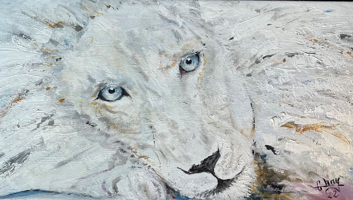 OscarAndBrutus's tweet photo. This is the Acrylic version 😊  Called him Snooze. He's telling me not to move, and keeping an eye on me. #Lion #Chay #Acrylic #Actylicpainting #Art #Acrylique https://t.co/DbjAZT8NCR