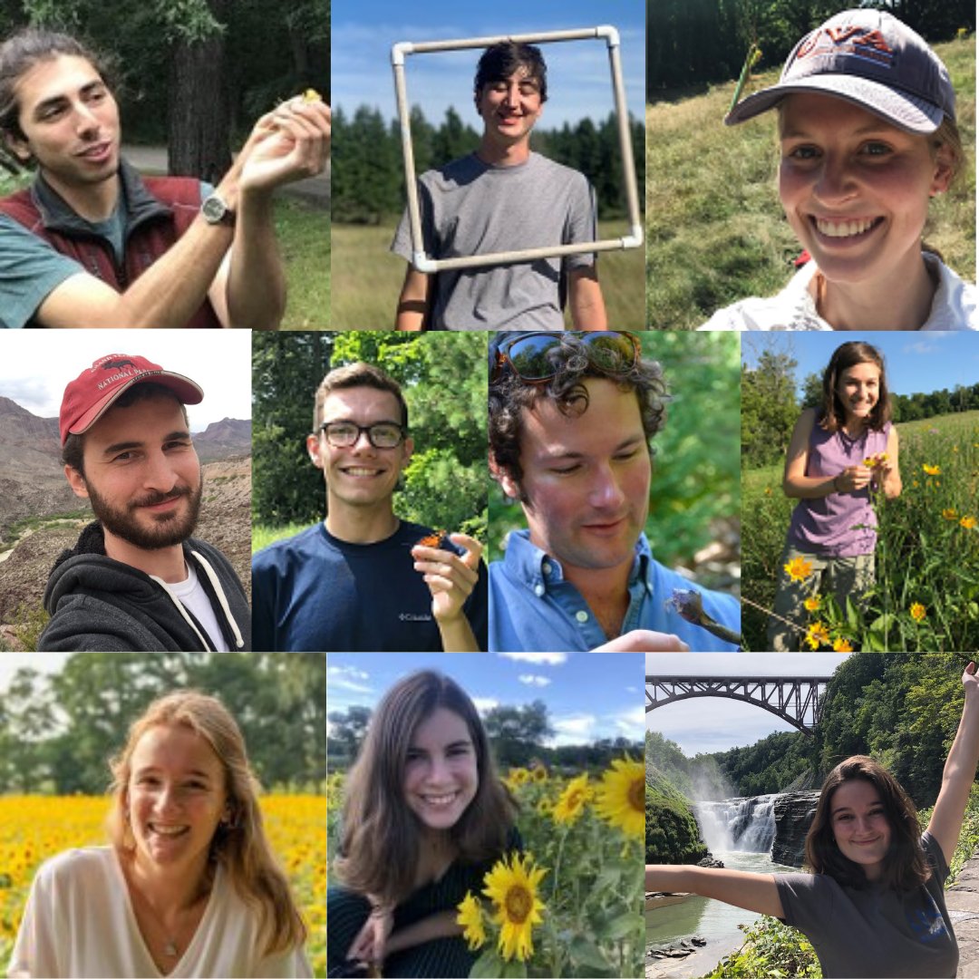 Tufts Pollinator Initiative tweet media
