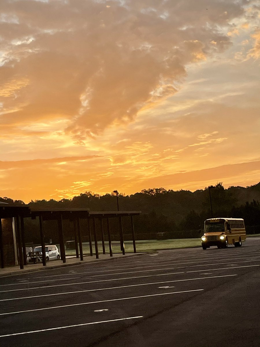 Jama Jobe McCartney tweet media