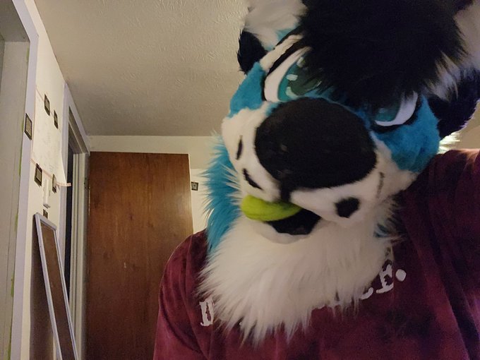 Snuggles? https://t.co/91pbx8V7uN