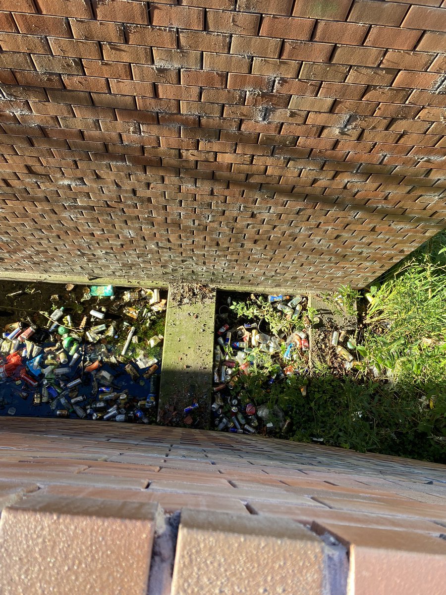 Is dit normaal om te laten liggen <a href="/DeventerGem/">Gemeente Deventer</a> 😱, je kan mij niet wijsmaken dat niemand hier bekend mee is…😒 wat een bende! Steeds meer en meer🤬… #deboreel #gemeente #deventer #afval #green #afvalopstraat #blikjes #heineken #RedBull