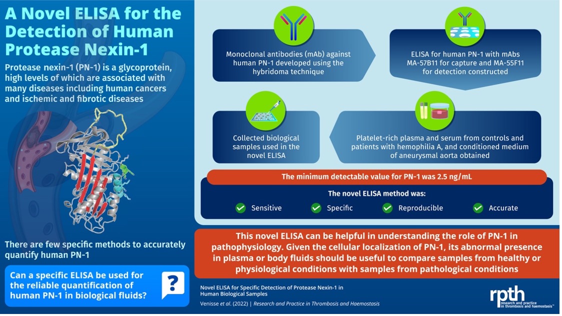 RPTHjournal's tweet photo. DID YOU KNOW: @Team6LVTSINSERM et al. developed a novel ELISA to detect human protease nexin-1 (PN-1) in biological fluids? This #RPTHInfographic summarizes the key points of the paper.
Learn how to do it yourself in the latest #RPTHMethods article here!
https://t.co/wPqOcimaM9 https://t.co/xPBHAzCujU