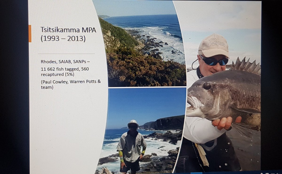 Taryn Murray tweet media