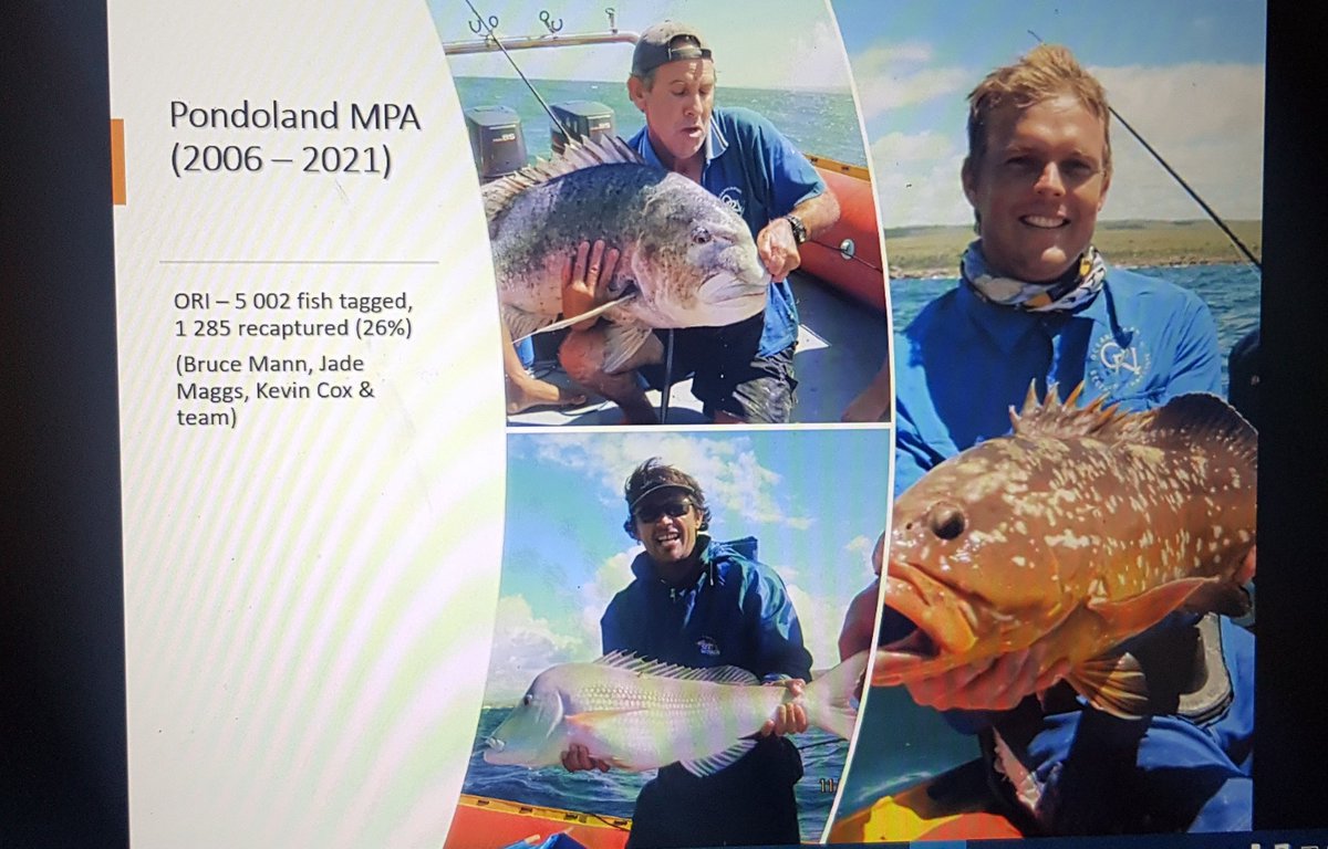 Taryn Murray tweet media