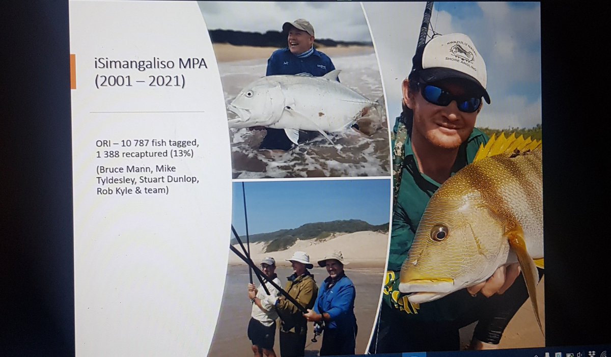 Taryn Murray tweet media