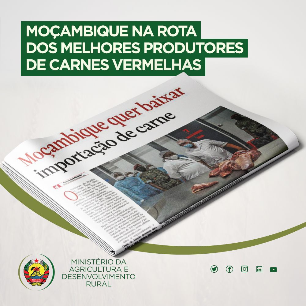 MinisterioRural's tweet photo. MOÇAMBIQUE na rota dos melhores produtores de carnes vermelhas.
Leia mais no jornal Notícias
Mozambique's red meat production on the way to the World top quality groups.
#Crescimento #carnes #processamento #abate #MADER #Moçambique #SUSTENTA https://t.co/BRl9rR4KGM