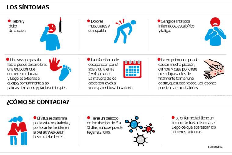 El cáncer se contagia por la sangre