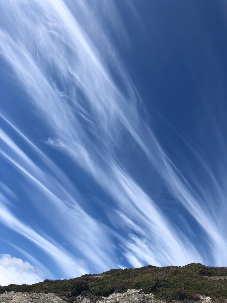 clare findlay tweet media