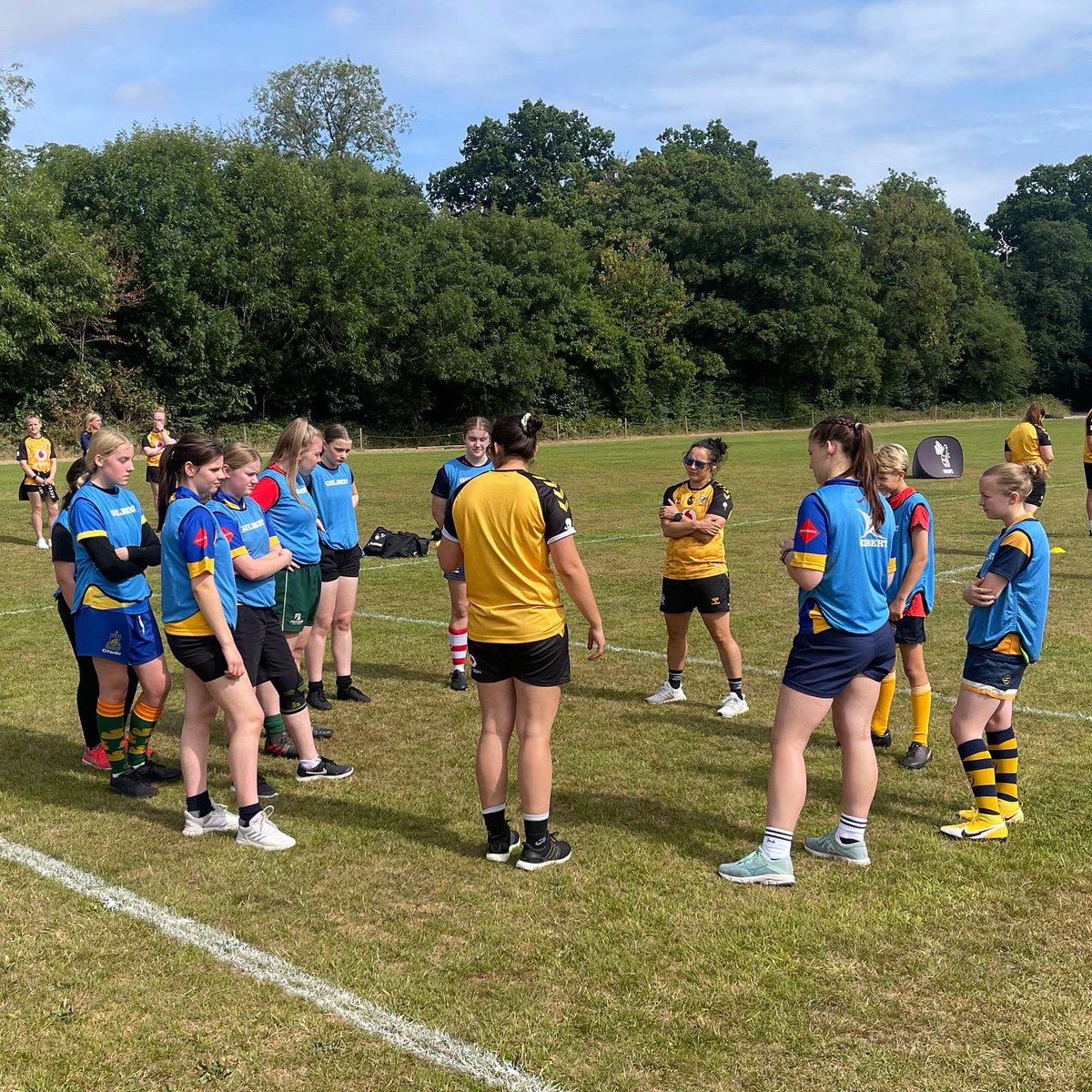 Wasps Community tweet media