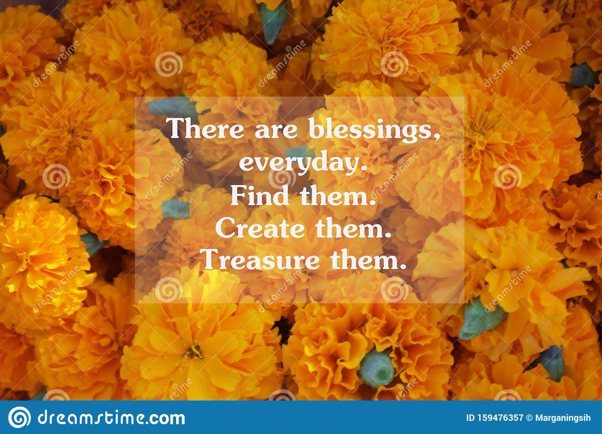 Lisa Godwin tweet media