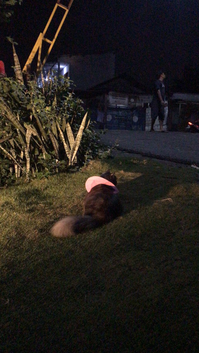 princesscikaa's tweet photo. Sibuk banget loly https://t.co/wydH8LqwaY