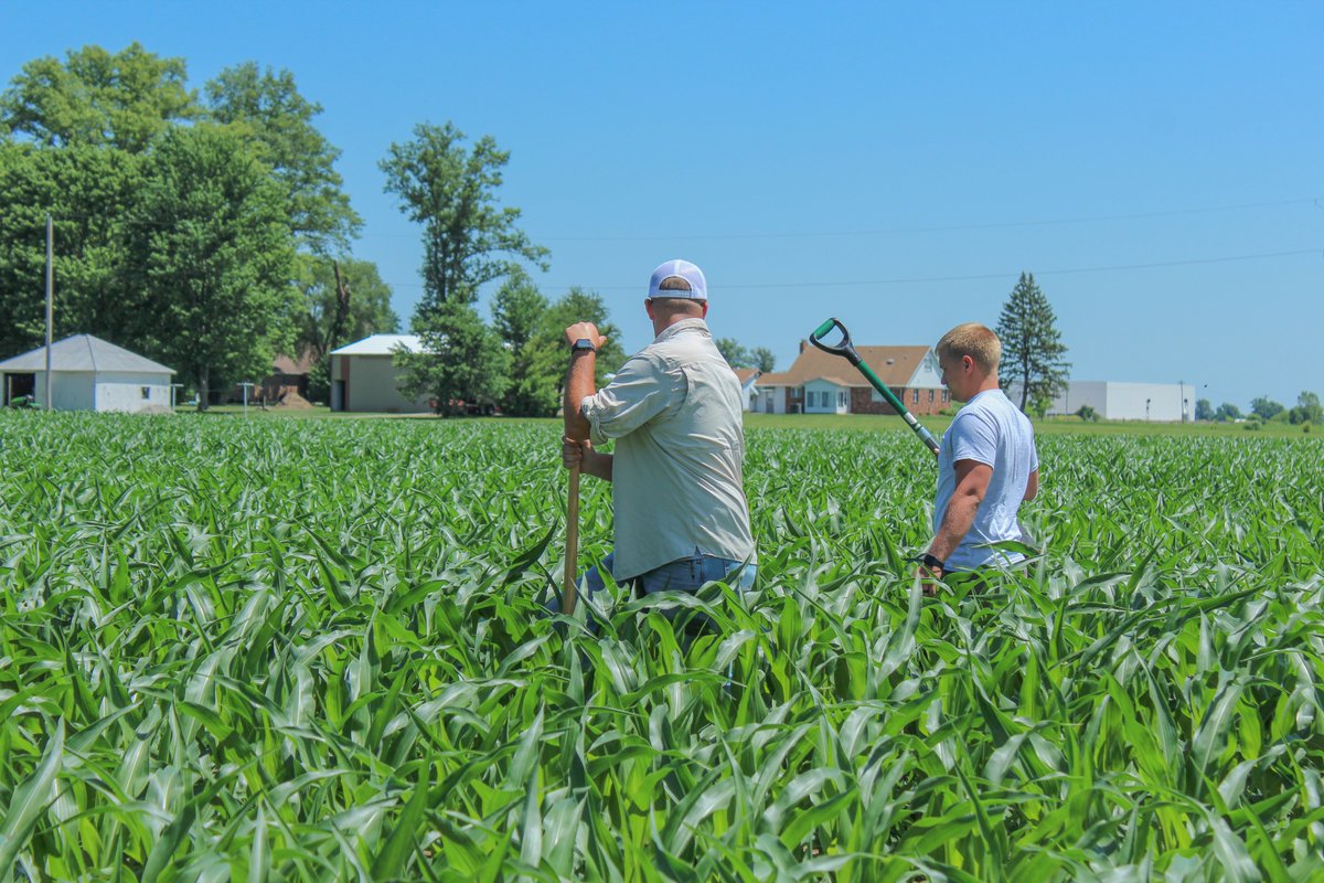 TheEquityCoop's tweet photo. The 2022 Summer Intern Class and the New Seller Trainee's had the opportunity to learn from Derek Iffert, Croplan Seed District Sales Manager. Derek taught the group about early seed diagnostics, seed development, and many other aspects of crop development.
#GoWithTheRightPeople https://t.co/AjAFzOVYTU