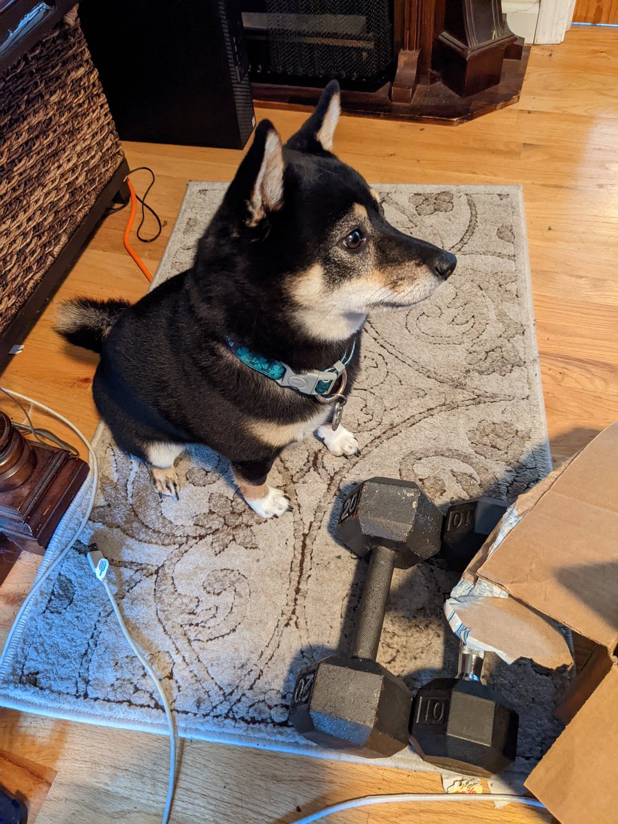 pomara_matt's tweet photo. My co-worker returns...big day at Ark today! #RileyReturns https://t.co/gam2jSBRuD