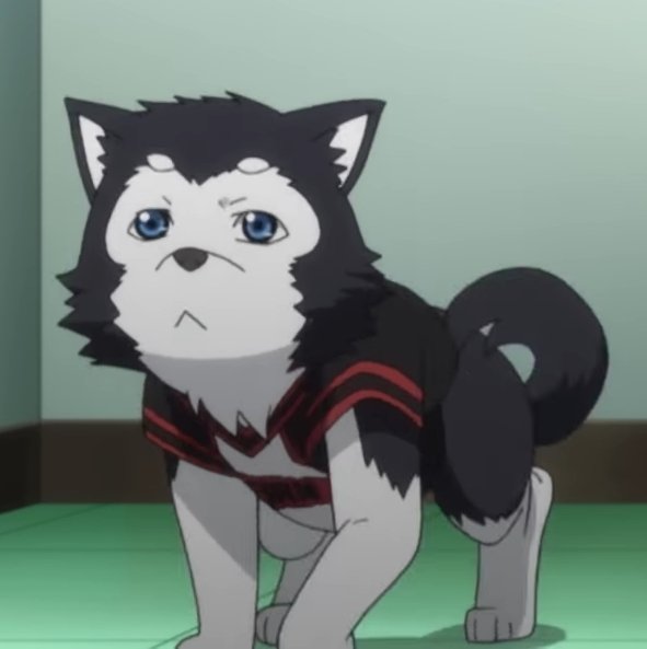 หงิง/รีบวิ่งมาหาพี่เหมียว