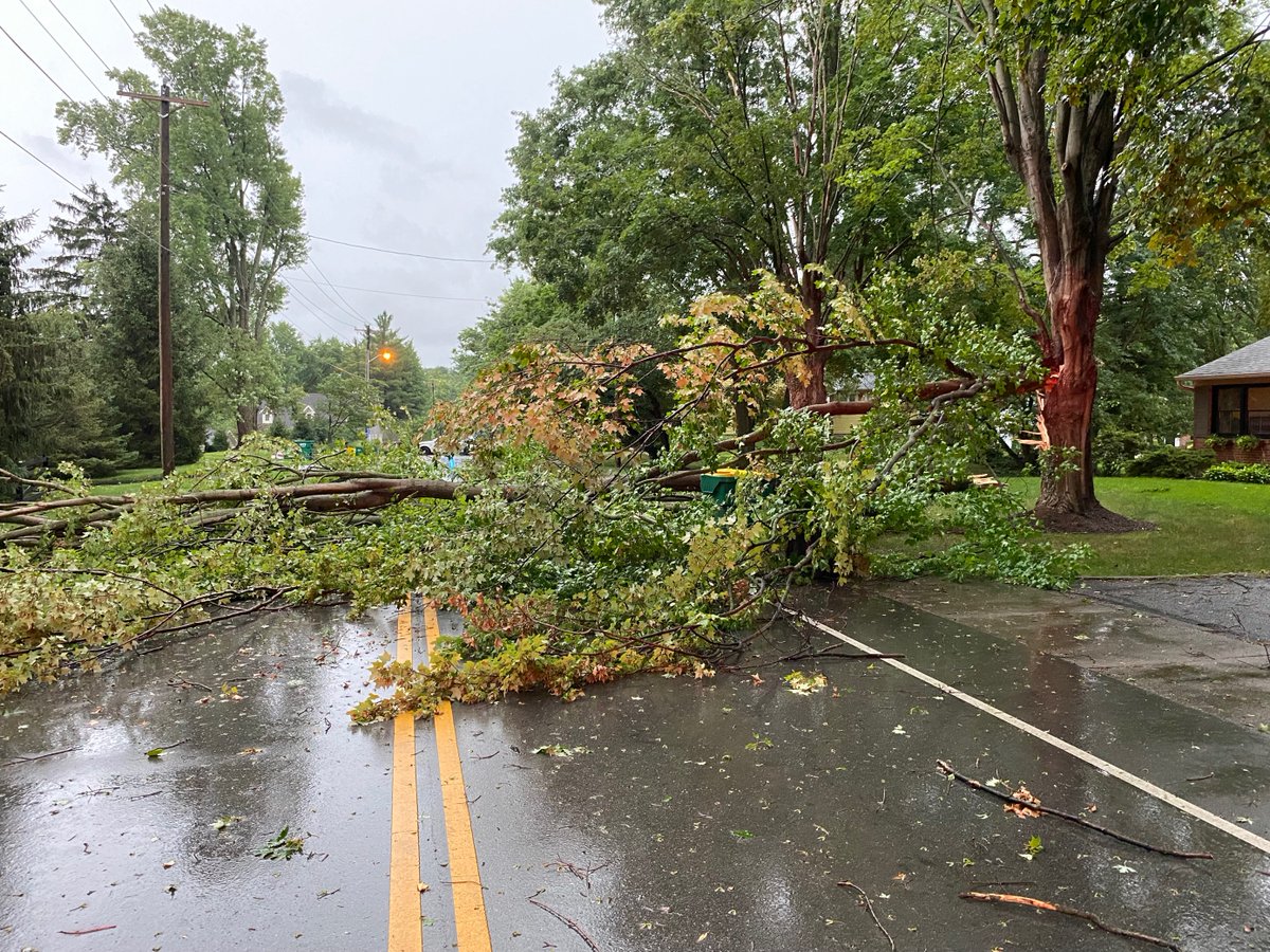 joerust's tweet photo. @NWSIndianapolis Tree down at 620 Mulberry St from ZPD. #INwx https://t.co/8NIMrp868N