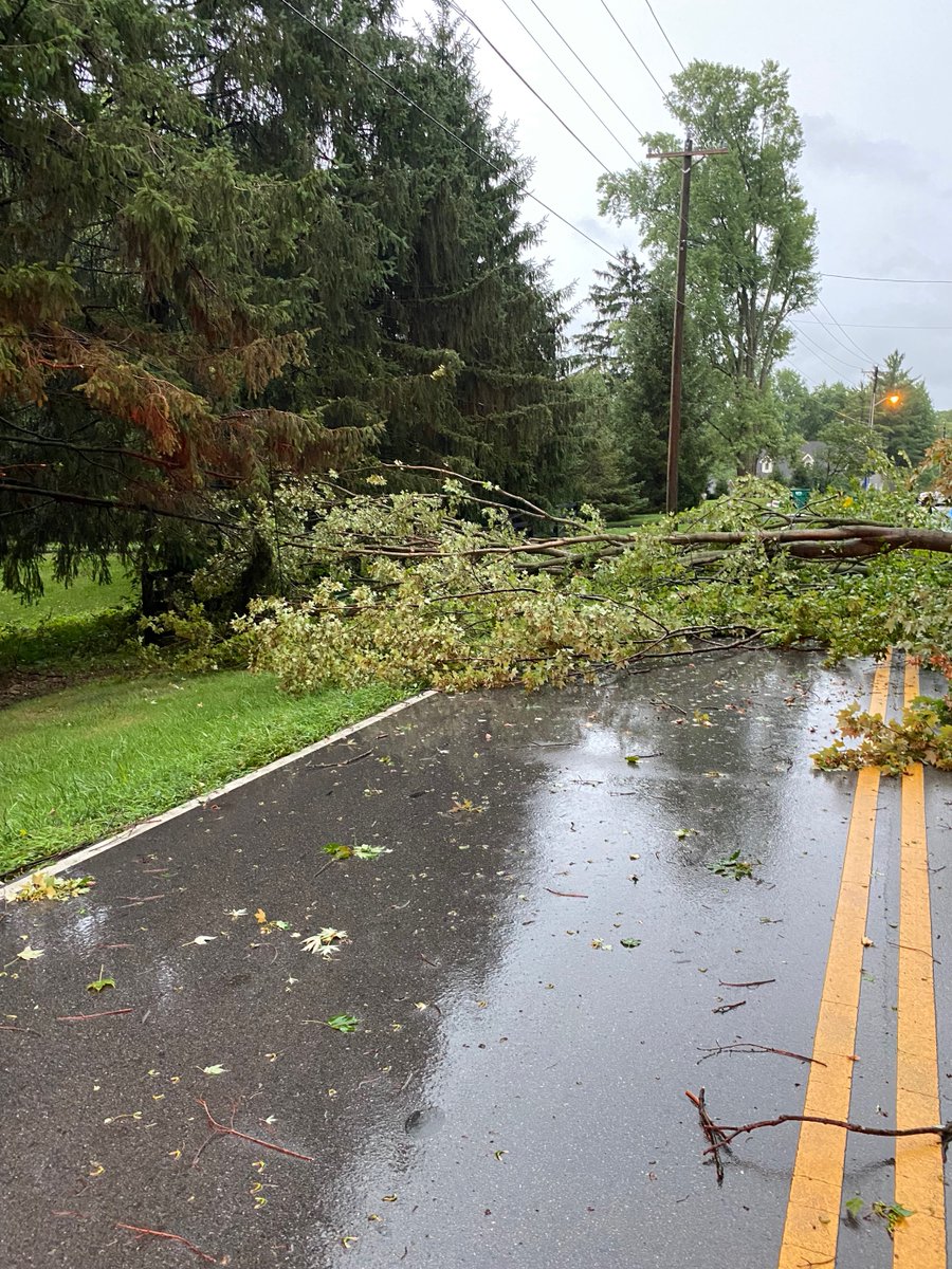 joerust's tweet photo. @NWSIndianapolis Tree down at 620 Mulberry St from ZPD. #INwx https://t.co/8NIMrp868N