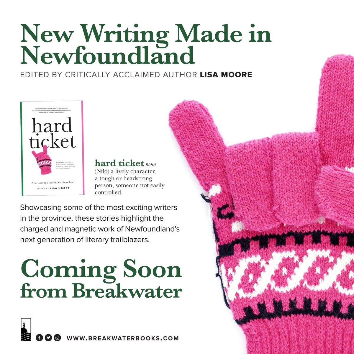 BreakwaterBooks's tweet photo. Following Racket and Best Kind, Hard Ticket is the next New Writing Made in Newfoundland anthology, once again edited by critically acclaimed author Lisa Moore!
Keep following Breakwater Books for excerpts from this exciting collection. Pre-order now!
#ComingSoon #ReadNL #book https://t.co/K3irCeySpZ