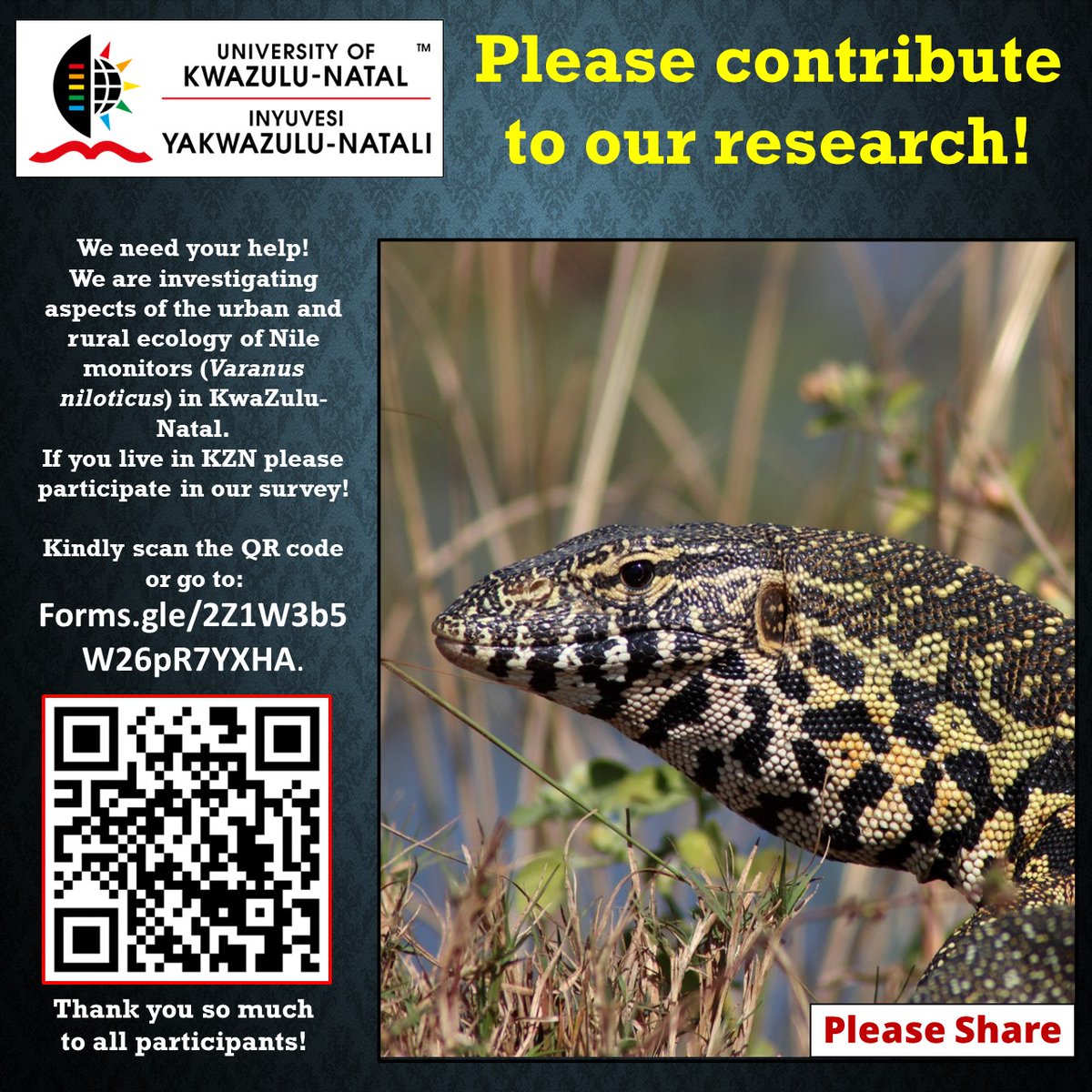 If you live in #KZN, please go to Forms.gle/2Z1W3b5W26pR7Y… to help our research on #NileMonitors in #KwaZulu-Natal. 🦎🦎

It only takes 5 to 10 minutes! Many thanks! 🙂

#Varanusniloticus #ukzn #varanidae #HAA #durban #pietermaritzburg #biawak #citizenscience #uxamu #likkewaan