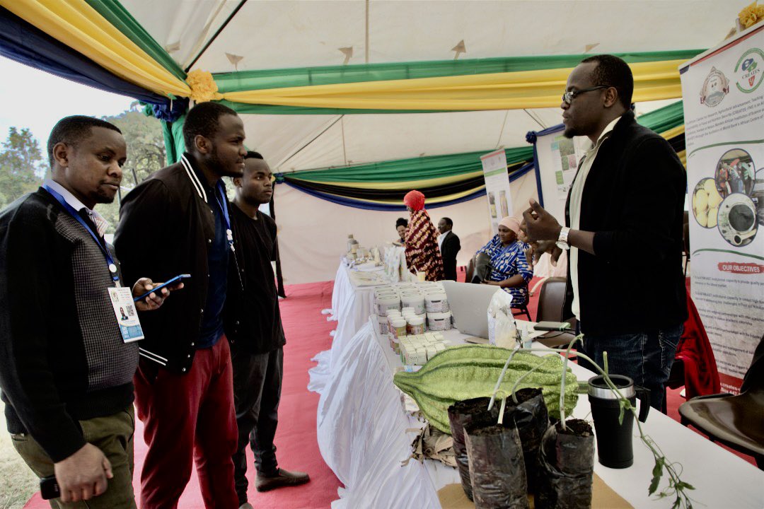 CREATES ACE TANZANIA tweet media