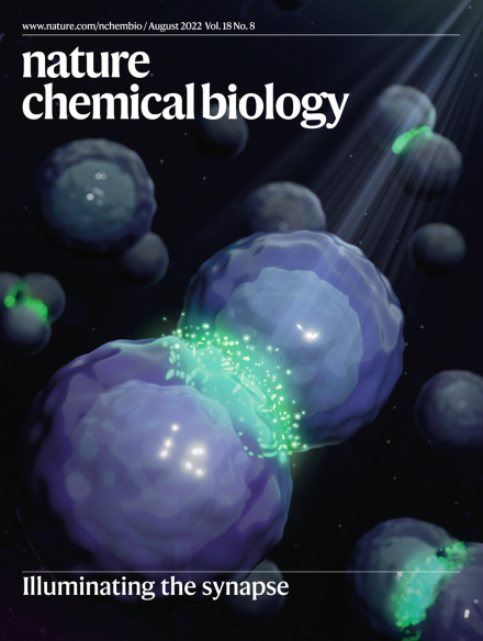 Fantastic @nchembio cover art highlighting flavins for photocatalytic-based proximity labeling within intercellular environments that was wonderfully done by @yizheng_art. More exciting efforts coming up in this space! nature.com/nchembio/volum…