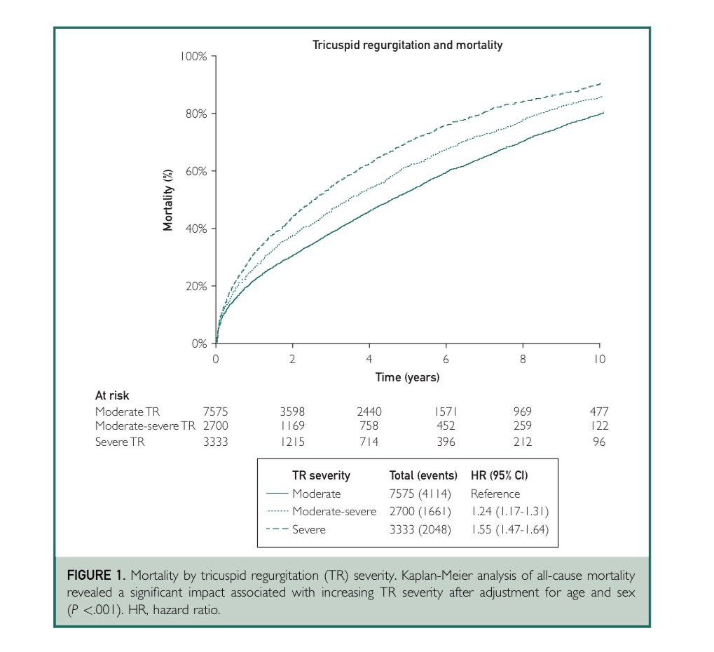Kyla Lara-Breitinger, MD tweet media