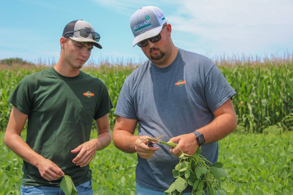 TheEquityCoop's tweet photo. Agronomy Sales Interns Leno Caldierero, Tyler Stuckemeyer, and Matt Wrzosek spent the morning working in the @IvyTechCC Test Plot! They checked the progress of different trials and looked for any evidence of disease in the plants.
#AgricultureInternships #GoWithTheRightPeople https://t.co/nMwfWhOWeT