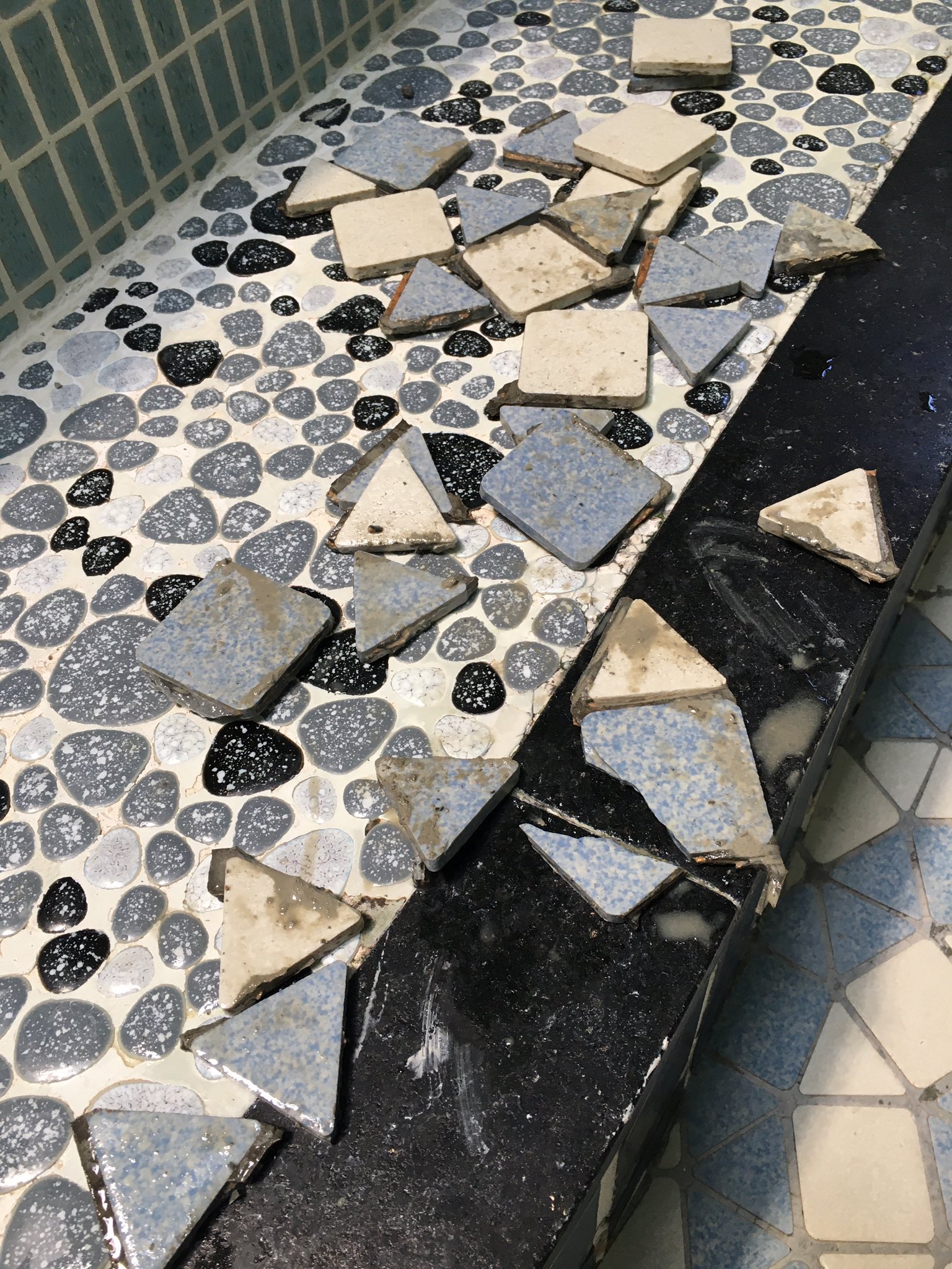 松本康治 タイルを剥がす時 タガネだけでやるとタイルが割れてしまうことが多いので 目地をマルチツールで削って 縁を切る ときれいに剥がれます 剥がしたタイルには下地や目地のセメントが付着しているので これもマルチツールで削り取ります は