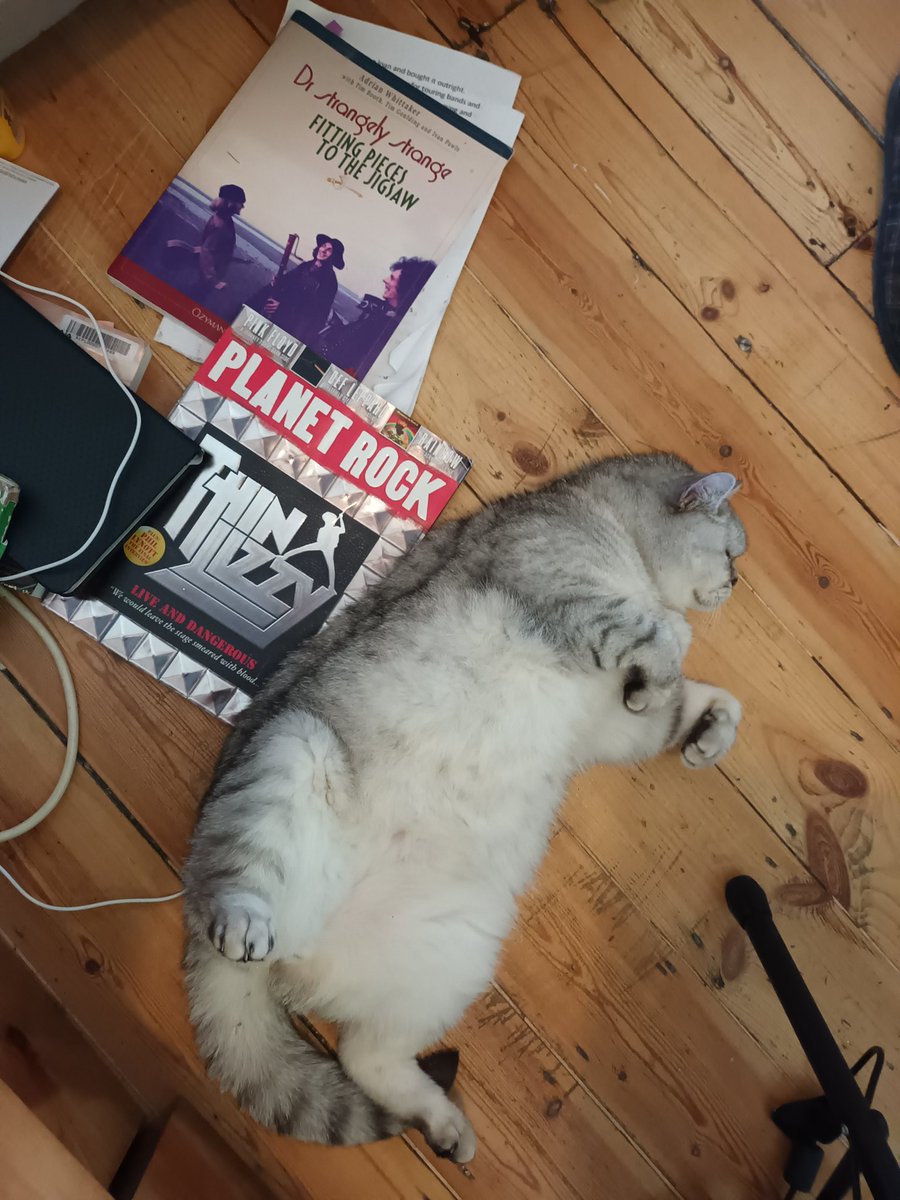 Been working on script edits recently.  Absolute legend of a director @ChrisGatesFace has been very helpful. My cat, Leon, not so much.
#thinlizzy #phillynott #theatre #onemanplay #fringetheatre #CatsofTwittter