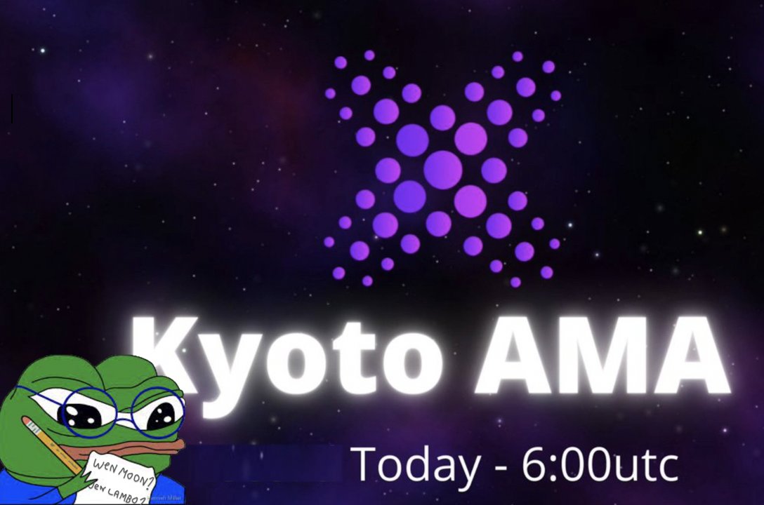 KYOTO PEPE ♻️ tweet media