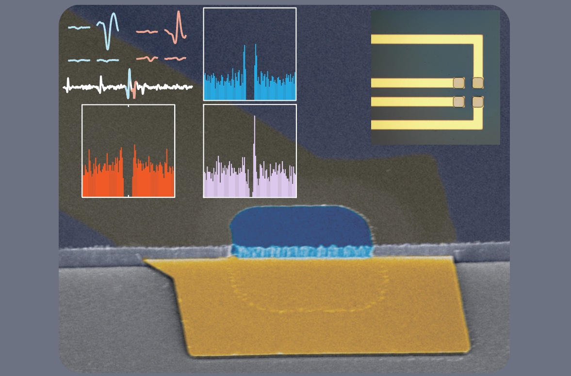 We can record and cluster single neurons from the surface of human brain - lots of them! We described cellular firing properties, synaptic interactions, and design rules to enable spatial sampling while maintaining a high yield of single units.onlinelibrary.wiley.com/doi/10.1002/ad…