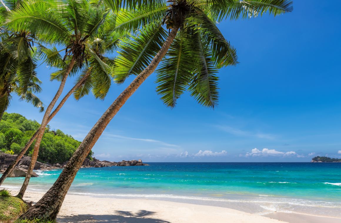 Cette semaine c'est vacances ! 
#gaming #jeuxvidéos