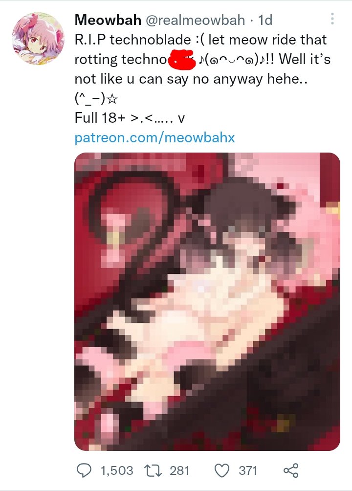 silver_rain_'s tweet photo. The fact that meowbah is posting this about techno just doesn't sit right with me and it's very unacceptable and disgusting... https://t.co/OcVtxy4ZOg