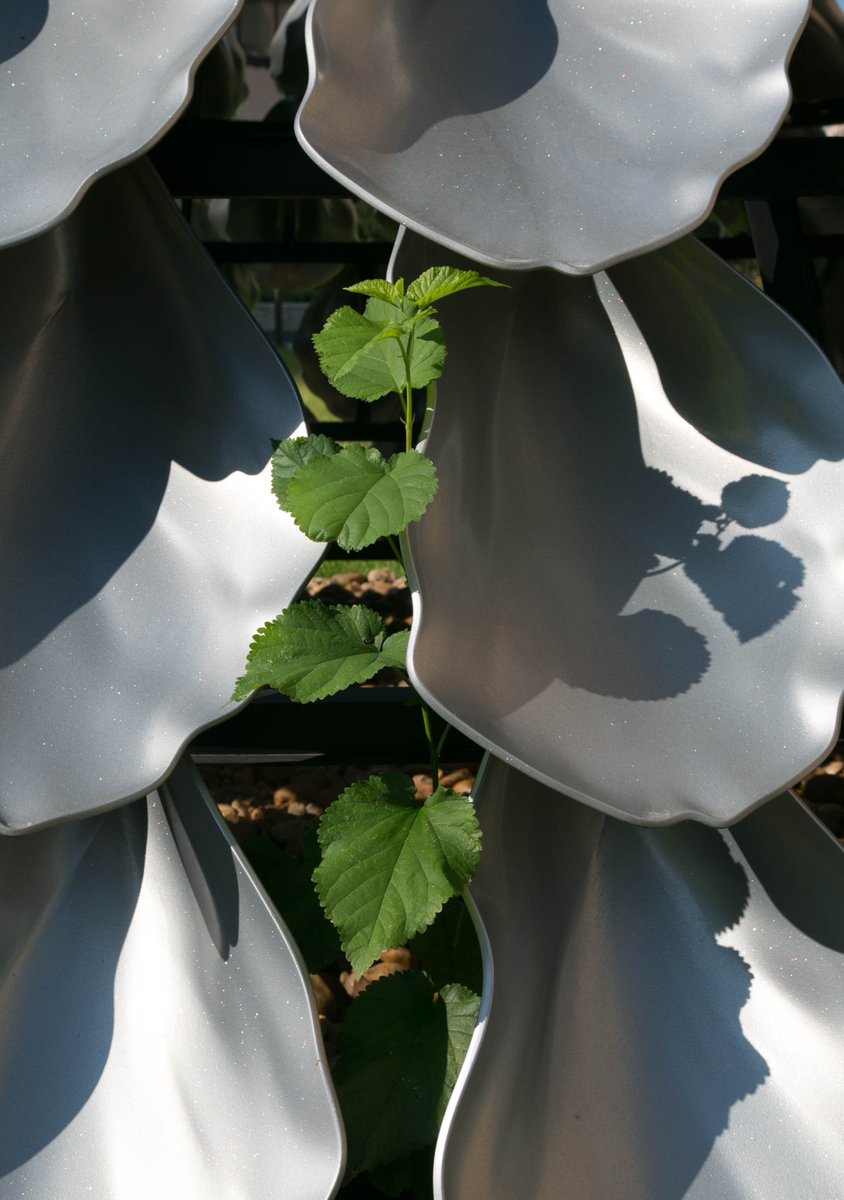 It doesn't matter how slowly you go, as long as you do not stop. #UHBauer #MondayMotivation