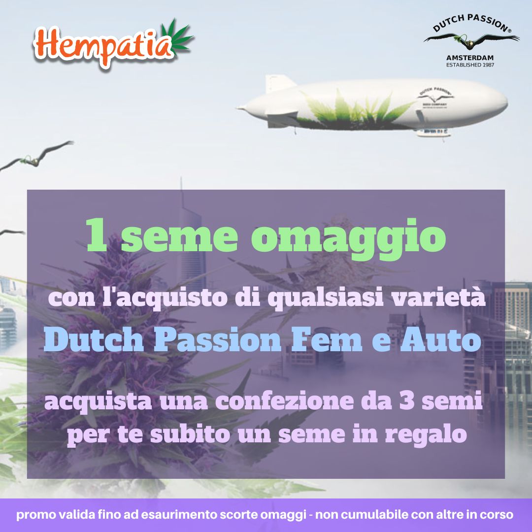 Con l'acquisto di qualsiasi varietà Dutch Passion femminizzata o autofiorente da 3 semi ricevi un seme in regalo. *

Approfittane subito su Hempatia Network: bit.ly/2tJ69py

* promozione valida fino ad esaurimento scorte omaggi. non cumulabile con altre in corso