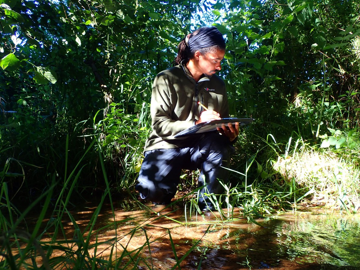 Kye Davies tweet media