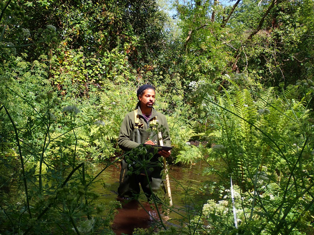 Kye Davies tweet media