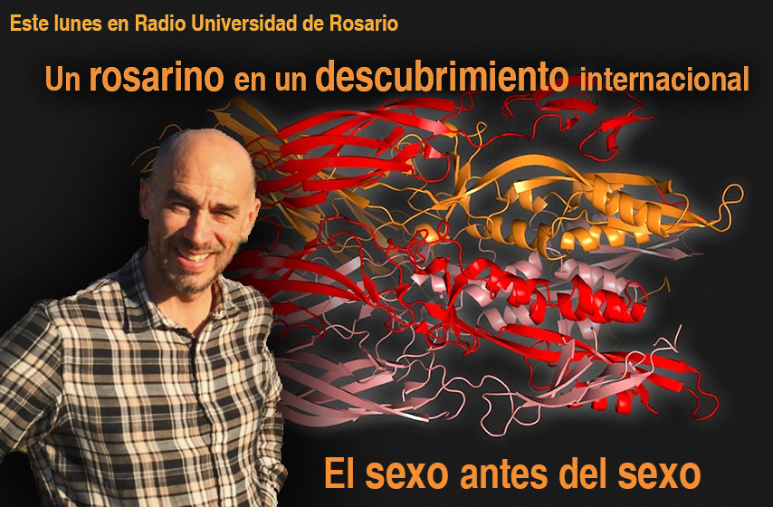 abcunr's tweet photo. Qué fue lo que encontraron en bacterias que existen hace... 
3 mil millones de años
A las 14, por Radio UNR https://t.co/KP7olzrgGO