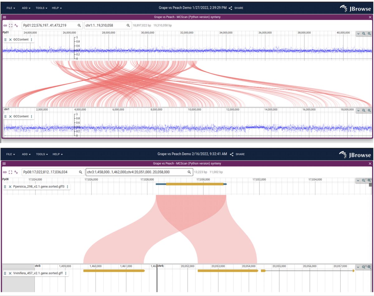 JBrowse 2: A modular genome browser with views of synteny and structural variation biorxiv.org/content/10.110…