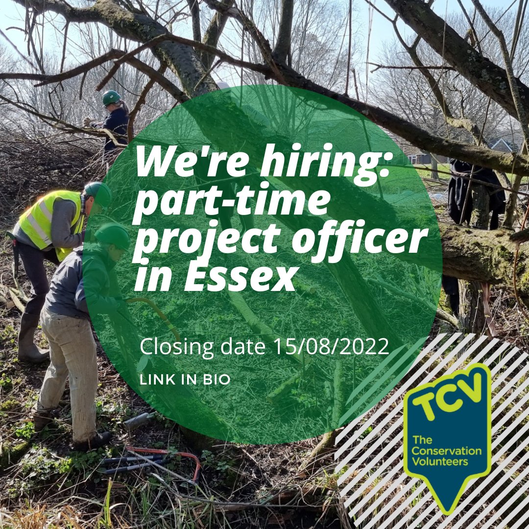 We are hiring in Colchester. Apply by the 15th August 🌱 
#tcv #workoutdoors #environmentaljob #conservationwork  www2.tcv.org.uk/cgi-bin/jobs/j…