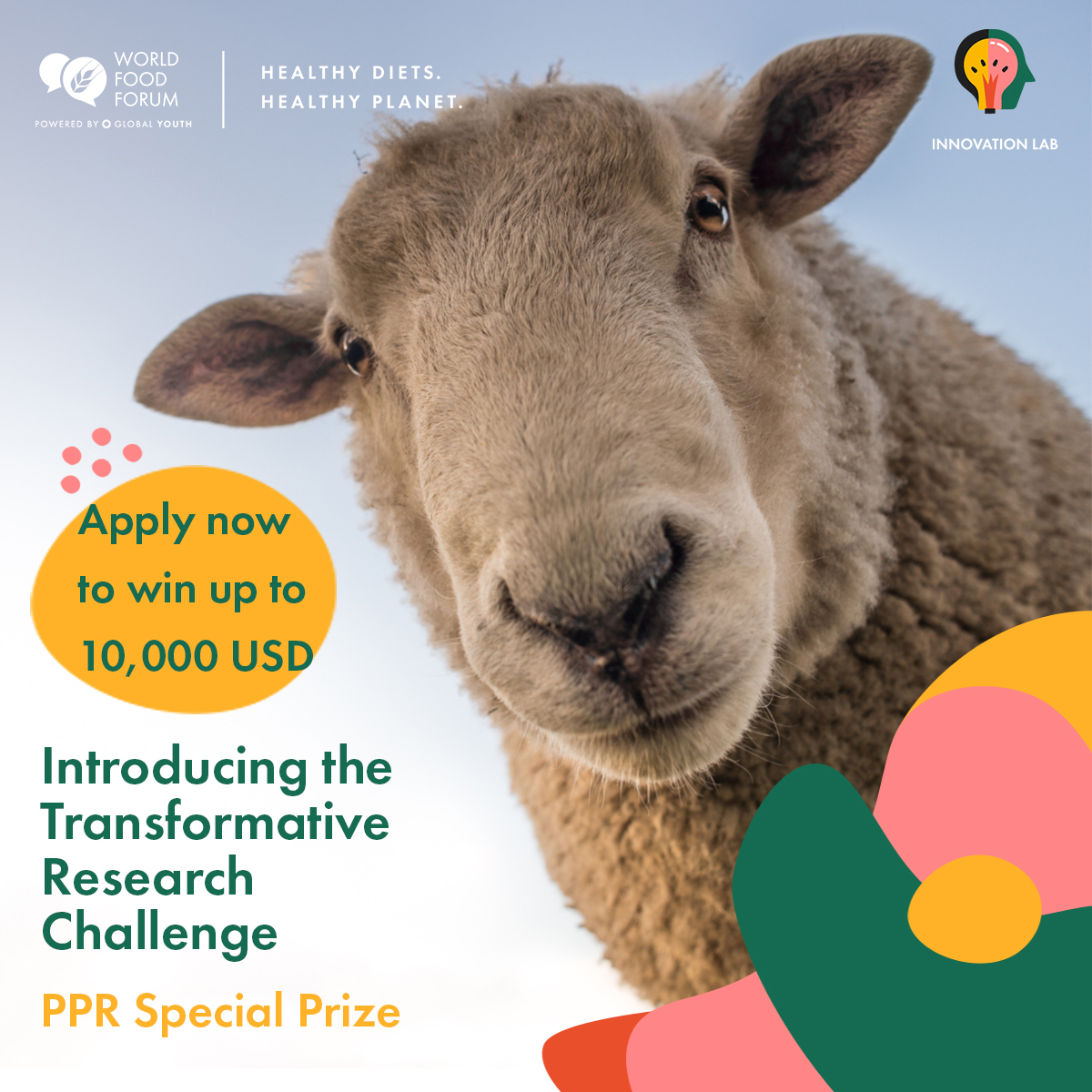 World_FoodForum's tweet photo. Miss the deadline for our TRC? β°
@FAOβs Peste des Petits Ruminants Secretariat & the World Food Forum are joining hands for the TRC PPR Prize!
Apply by 31 August for a chance to win up to USD 10k in grants for the winners! β¨
More information here:https://t.co/PPKlAdiFJx https://t.co/xdVMazuFM8