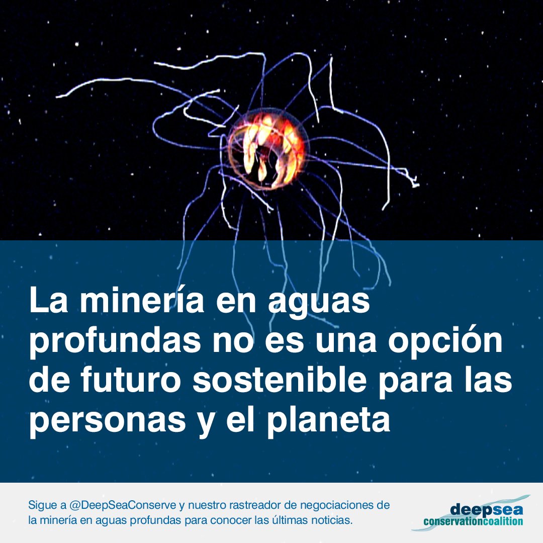 MAR_Fund's tweet image. En lugar de añadir nuevos factores de estrés al #océano, debemos proteger y restaurar su salud. ¡Es hora de una moratoria!

#keepitinthedeep #defendthedeep #ISA27 #deepseamining #deepsea #internationalseabedauthority