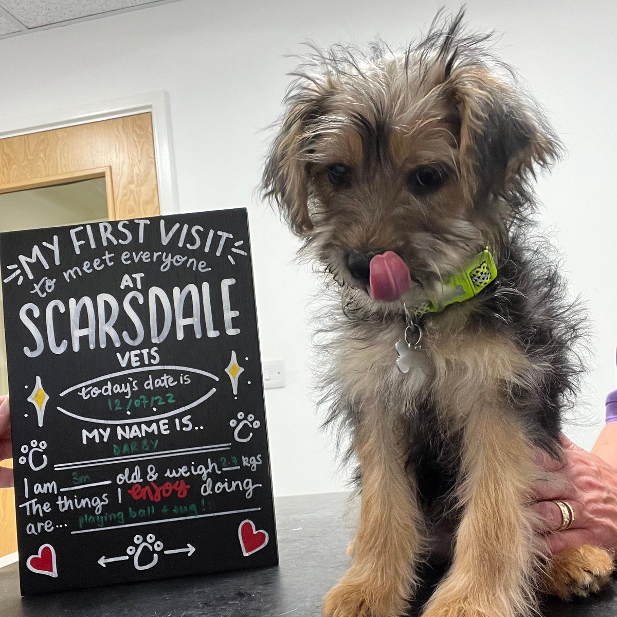 Darby came in for her 1st visit and vaccinations at Scarsdale via the Pet Health Club! 🙌

She enjoyed plenty of treats and had a very waggy tail!

If you want to know more about the Pet Health Club and its benefits, check out our website - ow.ly/JxZ350JUC9x

#ScarsdaleVets