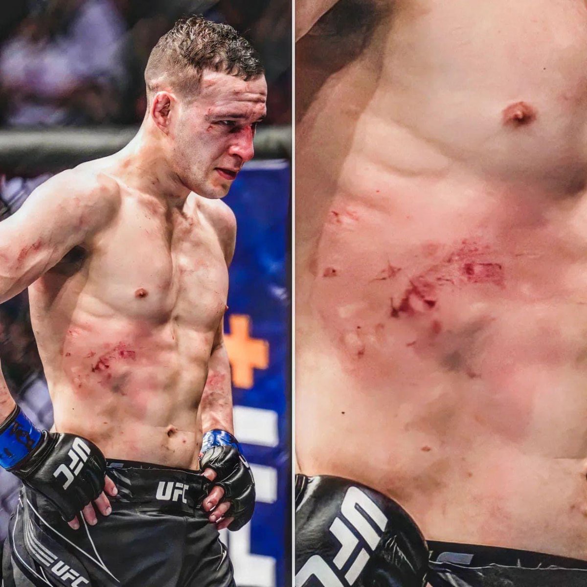 We Win MMA tweet media