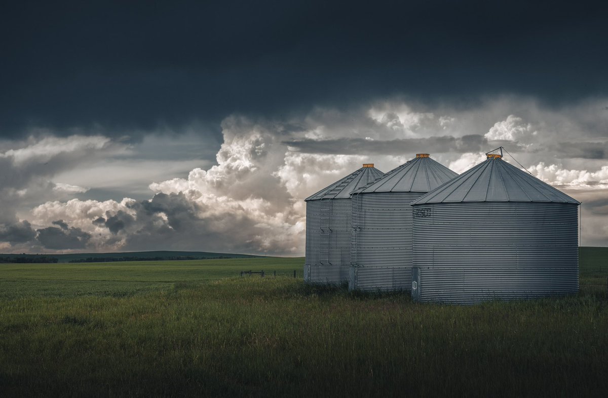 Those stormy Alberta Skies always get me. 

#albertaskies #abstorm #weather #farm #silos