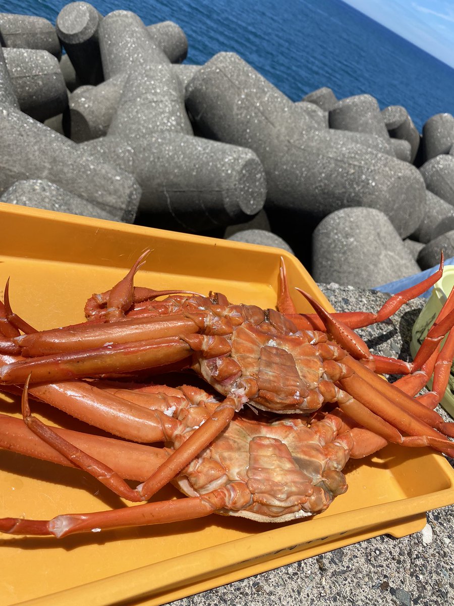 pitch_odd's tweet photo. 海 https://t.co/Lq0HCozzHr