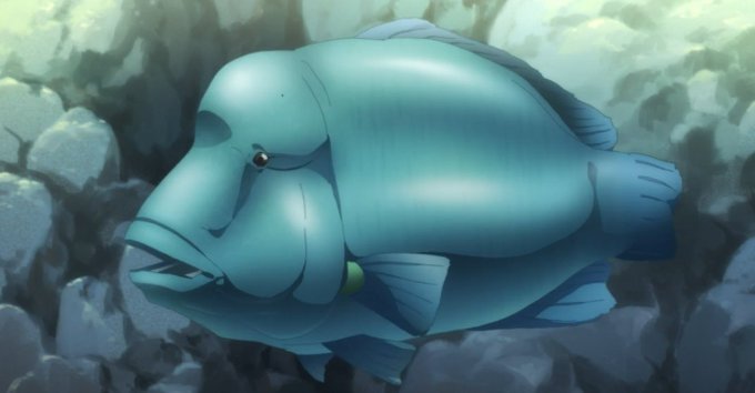 ナポレオンフィッシュのtwitterイラスト検索結果 ナポレオンフィッシュのtwitterイラスト検索結果