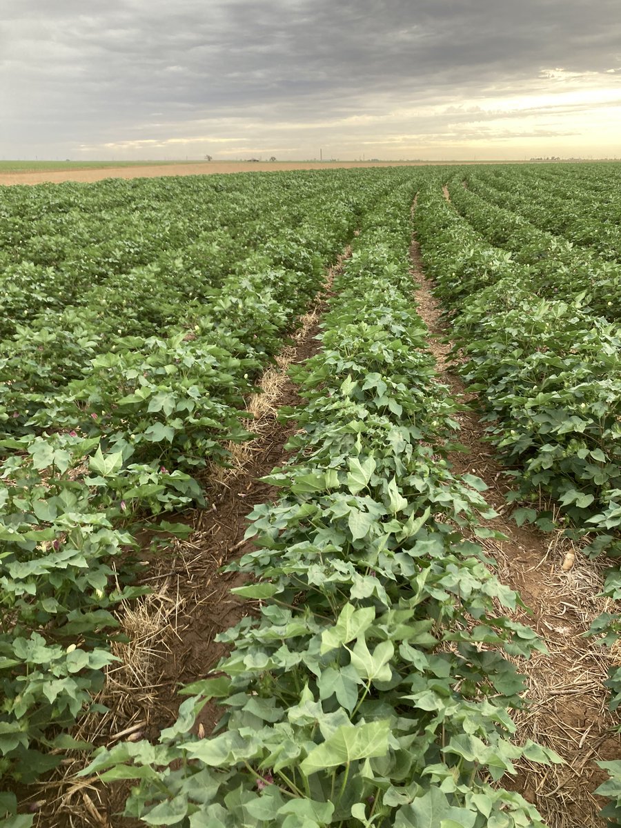 Steve Verett tweet media