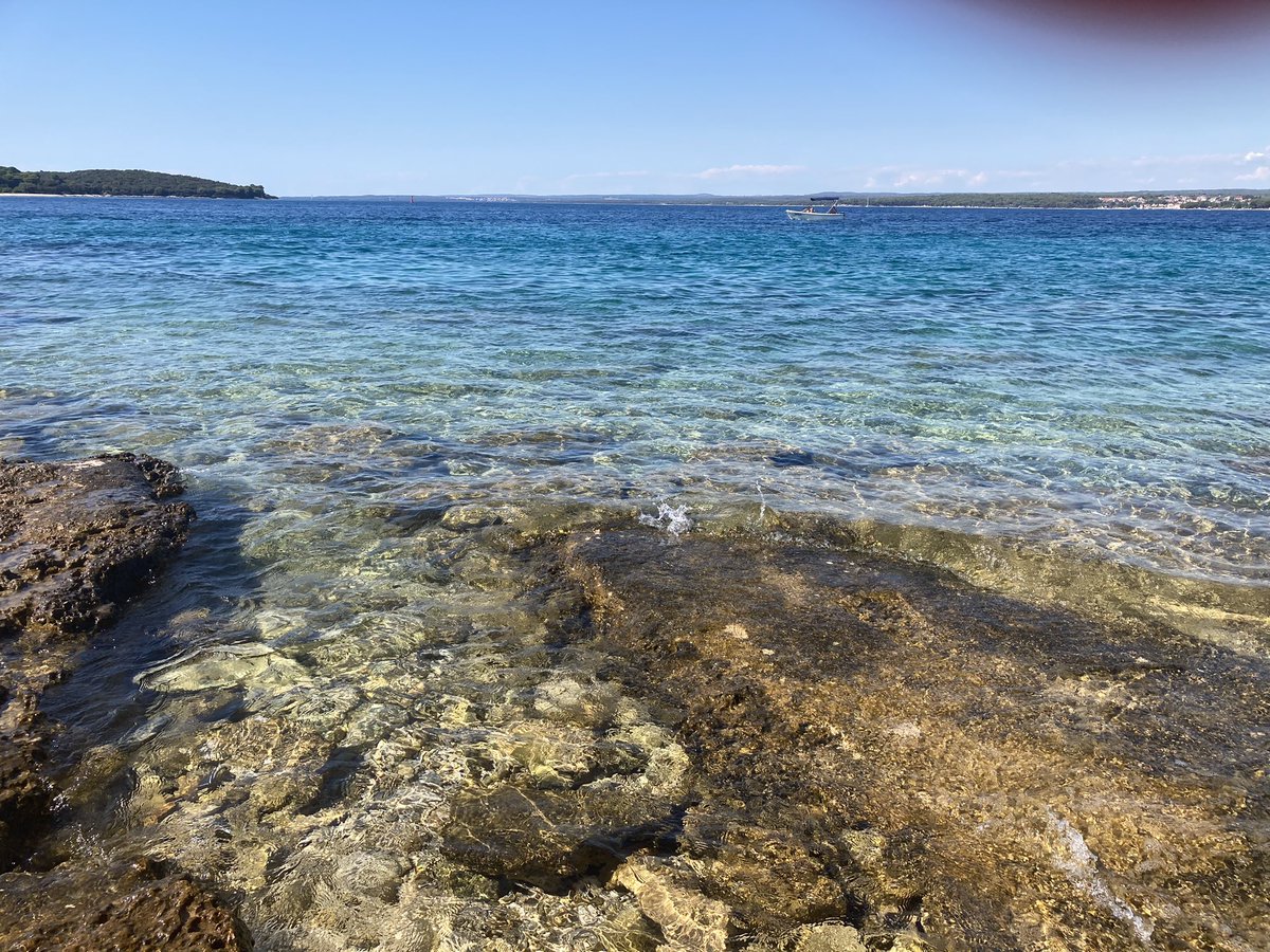 DrNiamhMcG's tweet photo. Sunshine in #Jerolim #Croatia ๐โ๏ธ๐ฆ๐ญ๐ท https://t.co/MqUmXL8cmT